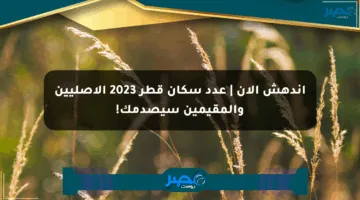 اندهش الآن | عدد سكان قطر 2023 الأصليين والمقيمين سيصدمك!